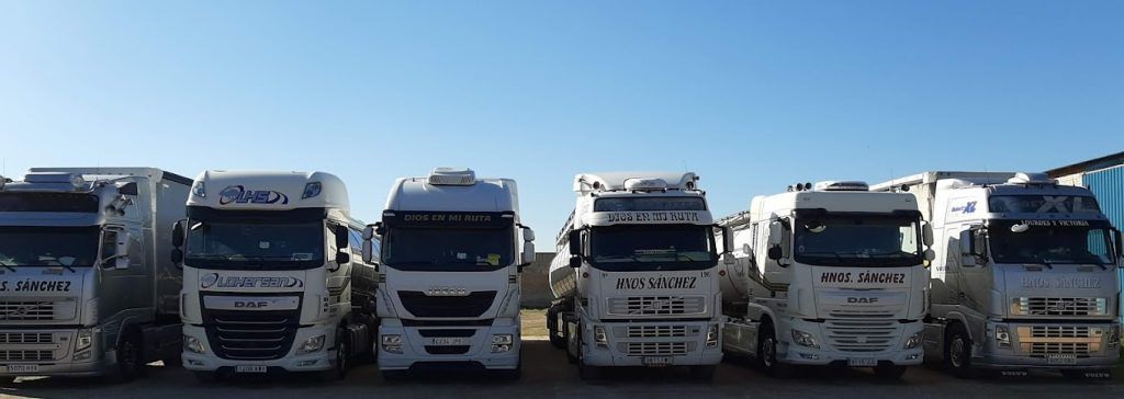 Se muestra la flota de camiones